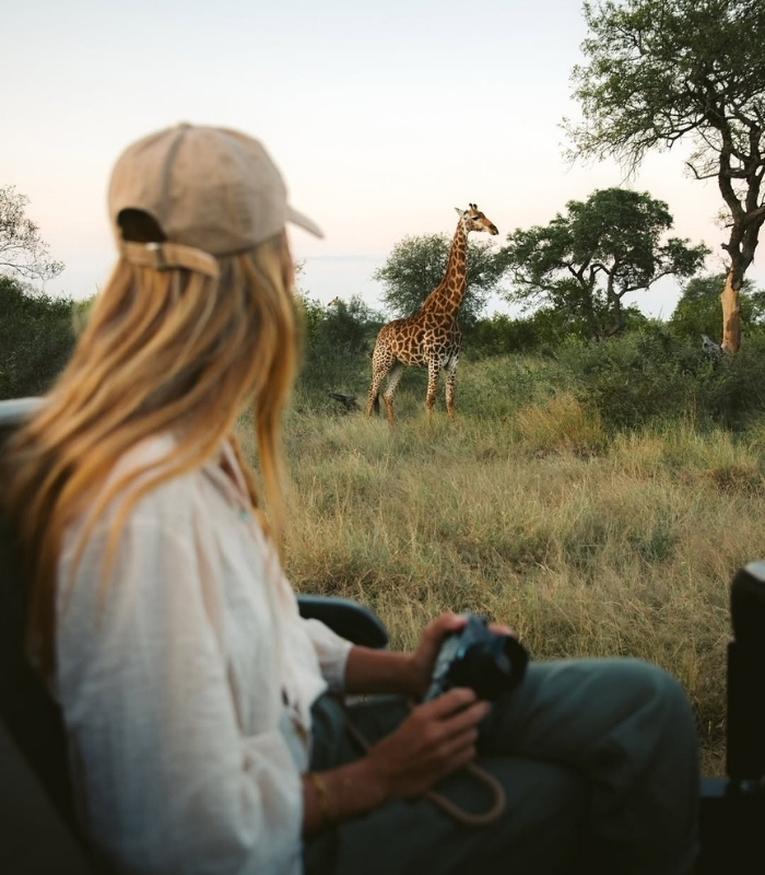 Game Drive là hình thức safari châu phi được nhiều du khách lựa chọn. Ảnh: natigana