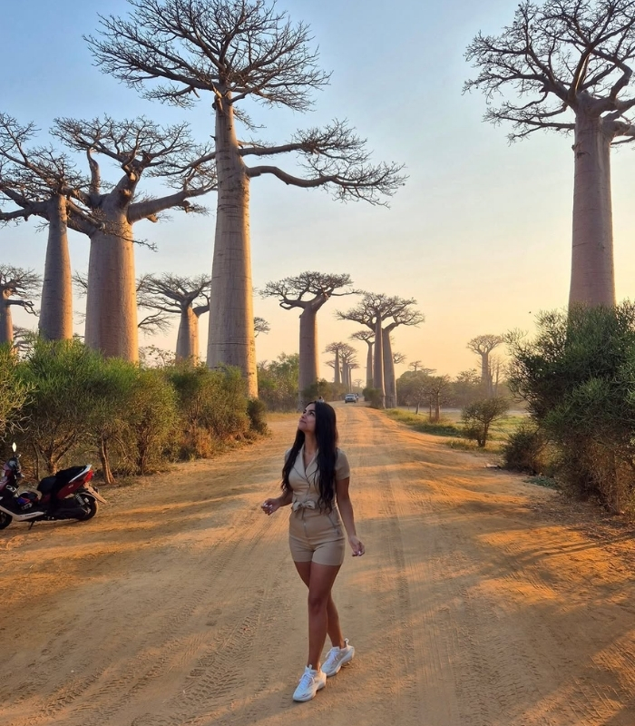 Thời điểm lý tưởng để du lịch Madagascar. Ảnh: amelie.akn