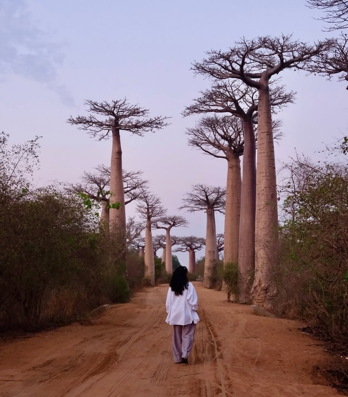 Madagascar thu hút nhiều du khách. Ảnh: fatiha_bsr