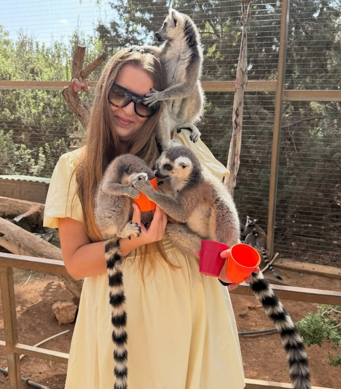 Vượn cáo Lemur. Ảnh: weeroooo