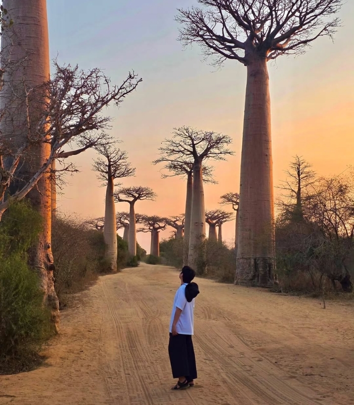 Thực vật chỉ có ở Madagascar Ảnh: __sol.chan