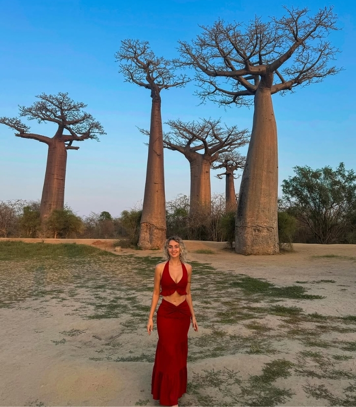 Avenue of the Baobabs. Ảnh: noor_luehof