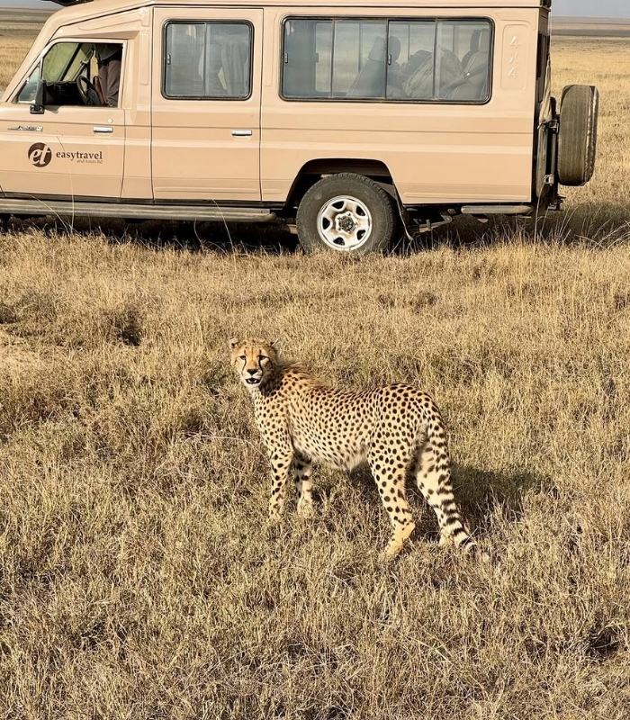 Big Five. Ảnh: traveldiary