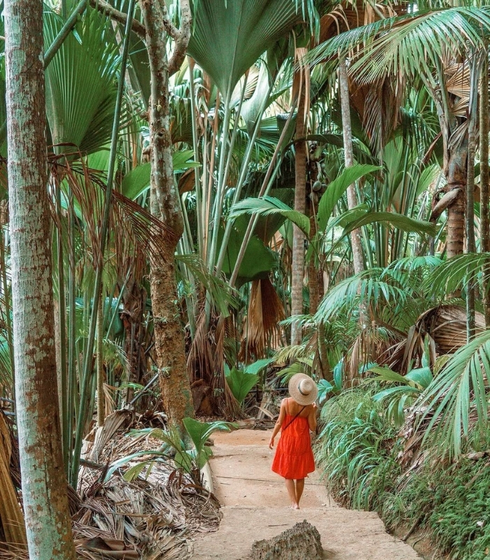Hệ sinh thái độc đáo. Ảnh: blonde.travel