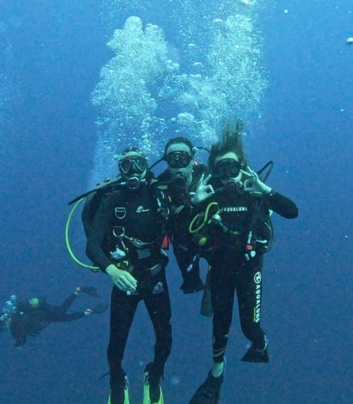 San hô và các loài cá nhiệt đới. Ảnh: mozambiquescuba