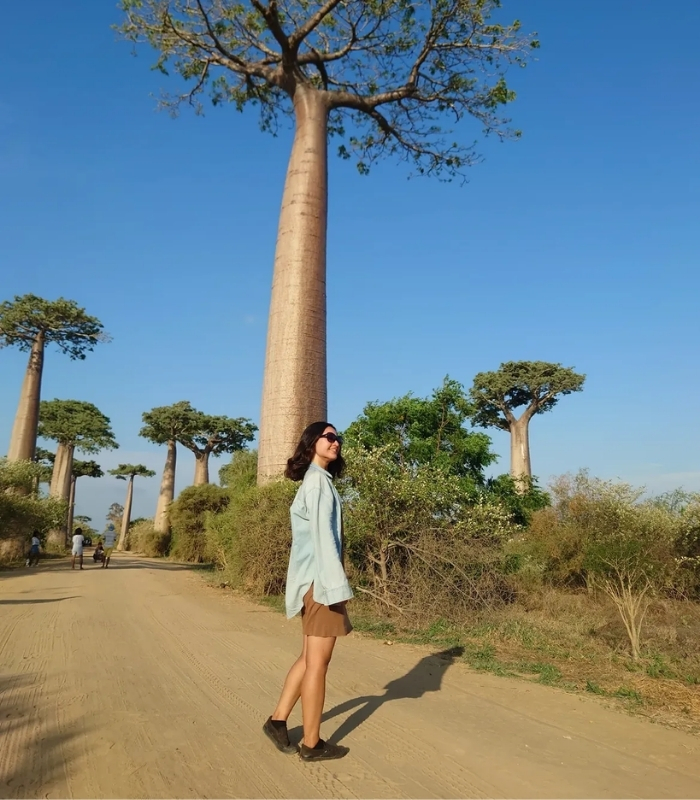 Biểu tượng thiên nhiên và văn hóa. Ảnh: masako68