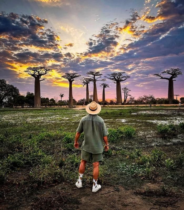 Ngắm hoàng hôn giữa hàng cây baobab. Ảnh: marcel_