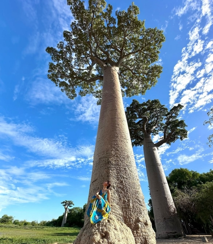 Thành phố Morondava. Ảnh: cindystory