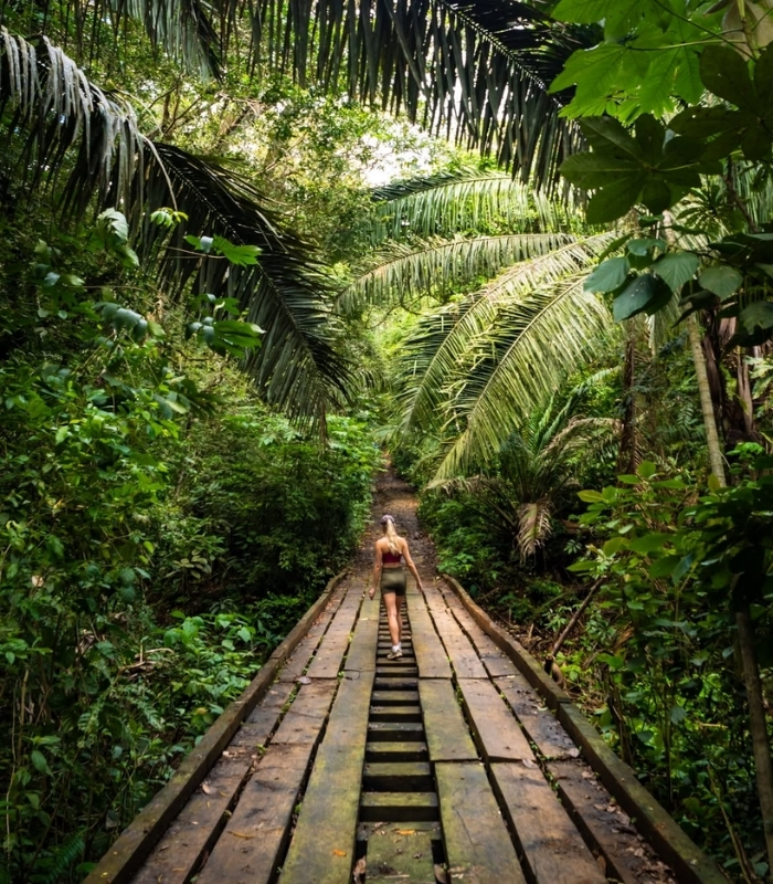 Volcanoes National Park. Ảnh: thesmoothescape