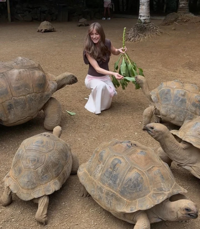Công viên rùa Aldabra. Ảnh: tolmacheva