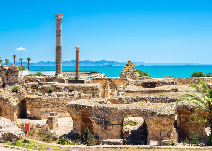 Thành cổ Carthage